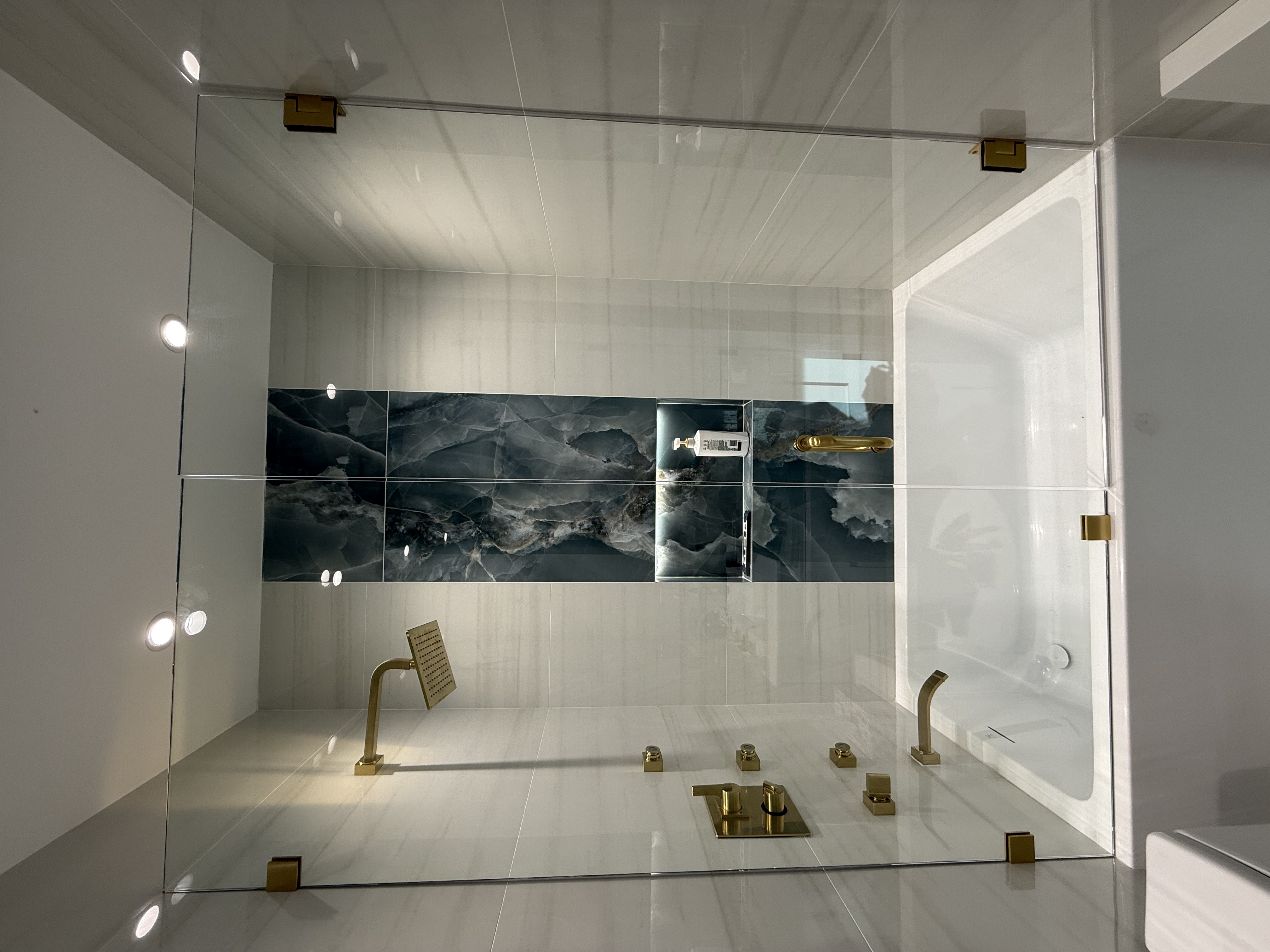 Door + Panel shower door installation in Monticello